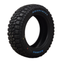 255/60R19 118Q Roadcruza RA8000 RWL